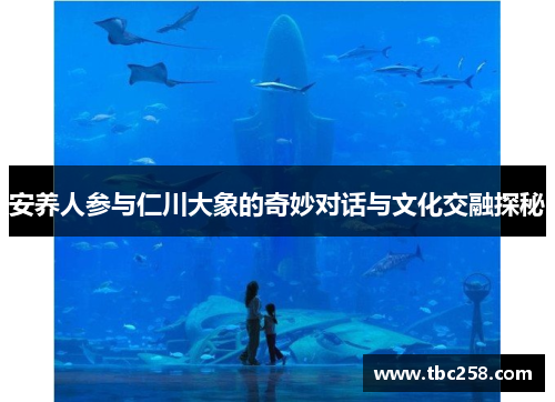 安养人参与仁川大象的奇妙对话与文化交融探秘