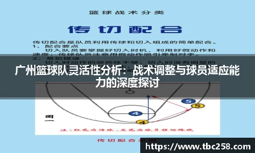 广州篮球队灵活性分析：战术调整与球员适应能力的深度探讨